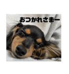 しまうにスタンプ バージョン2（個別スタンプ：9）