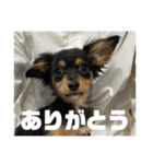 しまうにスタンプ バージョン2（個別スタンプ：10）