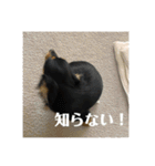 しまうにスタンプ バージョン2（個別スタンプ：11）