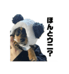 しまうにスタンプ バージョン2（個別スタンプ：12）