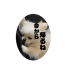 しまうにスタンプ バージョン2（個別スタンプ：20）