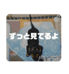 しまうにスタンプ バージョン2（個別スタンプ：37）
