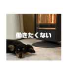 しまうにスタンプ バージョン2（個別スタンプ：40）