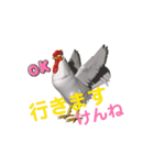 鳥獣戯動画3D（個別スタンプ：1）