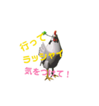 鳥獣戯動画3D（個別スタンプ：2）