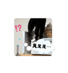 猫達の日常・のりこむぎ5（個別スタンプ：4）