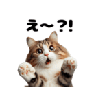 必ず使う！リアクション猫☆（個別スタンプ：24）