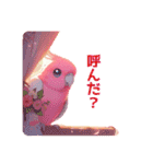 ピンクのインコちゃん（個別スタンプ：24）