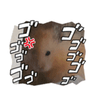 日常コスモ（個別スタンプ：5）