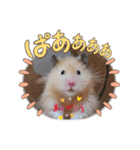 日常コスモ（個別スタンプ：6）