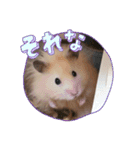 日常コスモ（個別スタンプ：8）