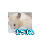 日常コスモ（個別スタンプ：11）