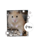 日常コスモ（個別スタンプ：14）