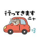 猫と犬2025（個別スタンプ：18）