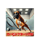 スポーツ大好きボクサー犬ブルーノ（個別スタンプ：24）