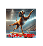 スポーツ大好きボクサー犬ブルーノ（個別スタンプ：29）