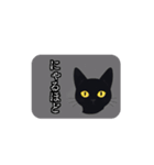 月と黒猫(AIイラスト)（個別スタンプ：23）
