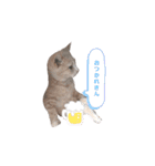 こつぶ時々さち（個別スタンプ：10）