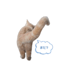 こつぶ時々さち（個別スタンプ：17）