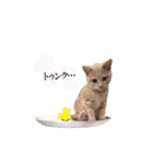 こつぶ時々さち（個別スタンプ：24）