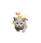こつぶ時々さち（個別スタンプ：25）