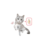 こつぶ時々さち（個別スタンプ：38）
