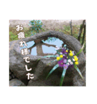 牡丹やショウブなどのスタンプ（個別スタンプ：18）