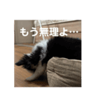 うたのスタンプ集（個別スタンプ：4）