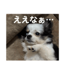 うたのスタンプ集（個別スタンプ：11）