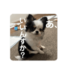 うたのスタンプ集（個別スタンプ：15）