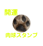 うたのスタンプ集（個別スタンプ：24）