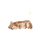 ちわっす、ちわわっす！（個別スタンプ：6）