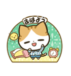 しましゃつねこさん（個別スタンプ：5）