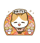 しましゃつねこさん（個別スタンプ：14）