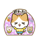 しましゃつねこさん（個別スタンプ：39）