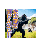 要求をする、ゴリラさん（個別スタンプ：4）