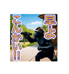要求をする、ゴリラさん（個別スタンプ：16）