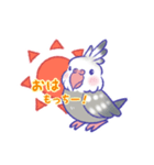 オカメインコのモカさん。（個別スタンプ：1）