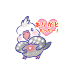 オカメインコのモカさん。（個別スタンプ：3）