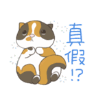 だる猫家族 14 - ふわふわ日々（個別スタンプ：12）