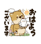 柴犬『春に使える』（個別スタンプ：1）