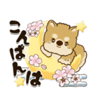 柴犬『春に使える』（個別スタンプ：3）