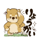 柴犬『春に使える』（個別スタンプ：8）