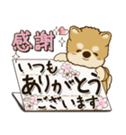 柴犬『春に使える』（個別スタンプ：16）