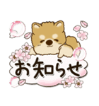 柴犬『春に使える』（個別スタンプ：17）