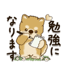 柴犬『春に使える』（個別スタンプ：25）