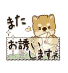 柴犬『春に使える』（個別スタンプ：27）