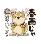 柴犬『春に使える』（個別スタンプ：30）