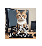 だらけた猫達の気持ち（個別スタンプ：14）