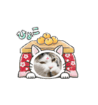 なぁこ-reo（個別スタンプ：8）